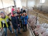 IMG_20191030_141642