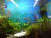 dsc01925_small.jpg