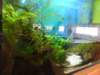 dsc01927_small.jpg