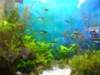 dsc01928_small.jpg