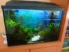 dsc01929_small.jpg