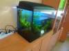 dsc01930_small.jpg