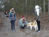 DSC05533