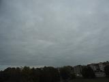 DSCN6728