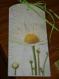 DSC08366