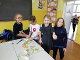 IMG 20190308 121452
