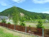 DSCN4459
