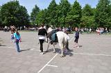 DSC 0431