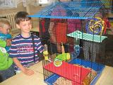 IMG 1319