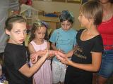 IMG 1326