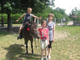 IMG 1373