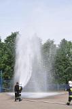 DSC 0081