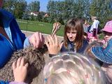 DSCF4688