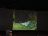 IMG 9231