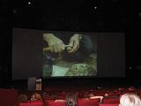 IMG 9238