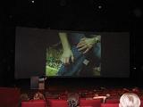 IMG 9239