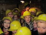 IMG 5817