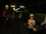 IMG 5829