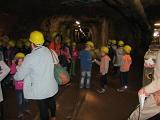 IMG 5832