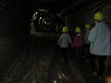 IMG 5845