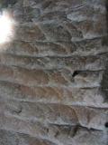 IMG 5847