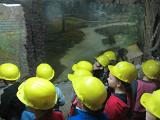 IMG 5875