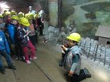 IMG 5879