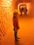 IMG 5918