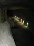 IMG 5921
