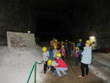 IMG 5924