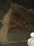IMG 5959