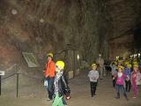 IMG 5964