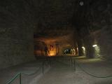 IMG 5977