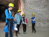 IMG 5993