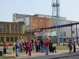 IMG 5996