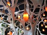 IMG 5997