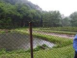 DSCN1559