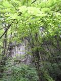 DSCN1568