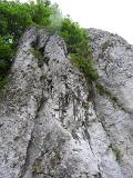 DSCN1570