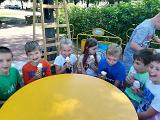 IMG 20170609 111920