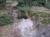 IMG 0122