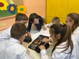 IMG-20230127-WA0005