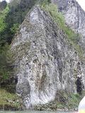 DSCN7426