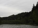 DSCN7436