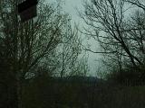 DSCN7440
