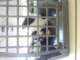 dsc01680_small.jpg