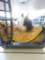dsc01685_small.jpg