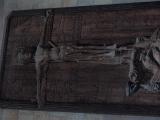 WYCIECZKA 167