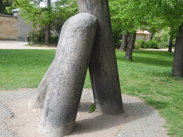 dscn5560.jpg