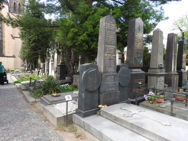 dscn5565.jpg